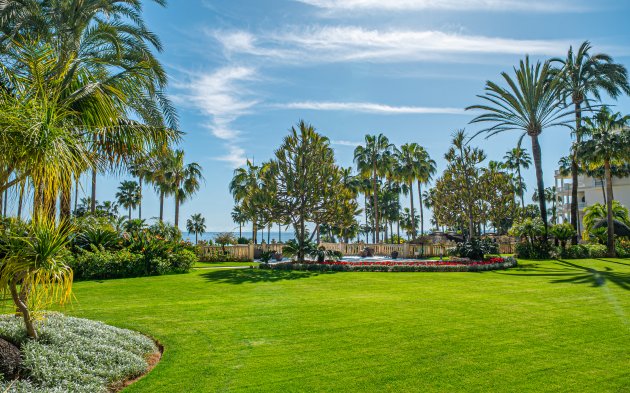 Apartamento · Reventa - Estepona · Málaga · España